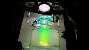 Es gibt neue Möglichkeiten für eine effiziente Wasserstoffproduktion aus Sonnenenergie, bei der das seltene Metall Platin nicht verwendet wird. In einem Reaktor im Chemielabor der Chalmers University of Technology in Schweden sind die entstehenden Wasserstoffgasblasen mit bloßem Auge gut zu erkennen, was darauf hindeutet, dass die Photokatalyse effizient abläuft. 