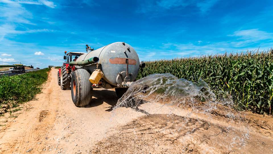 Oft wird Gülle per Schleppschlauch auf die Felder gebracht. Nunos wandelt Gülle in hochwertigen, emissionsarmen Dünger um.