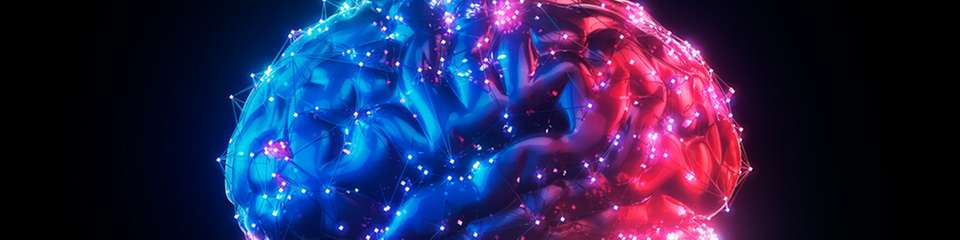 Forschende der Cornell University demonstrieren mit dem MOTE‑Implantat, dass neuronale Aktivität selbst mit extrem miniaturisierten optoelektronischen Systemen über ein Jahr hinweg stabil und gewebeschonend erfasst und drahtlos übertragen werden kann.