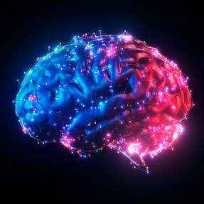 Forschende der Cornell University demonstrieren mit dem MOTE‑Implantat, dass neuronale Aktivität selbst mit extrem miniaturisierten optoelektronischen Systemen über ein Jahr hinweg stabil und gewebeschonend erfasst und drahtlos übertragen werden kann.