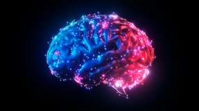 Forschende der Cornell University demonstrieren mit dem MOTE‑Implantat, dass neuronale Aktivität selbst mit extrem miniaturisierten optoelektronischen Systemen über ein Jahr hinweg stabil und gewebeschonend erfasst und drahtlos übertragen werden kann.