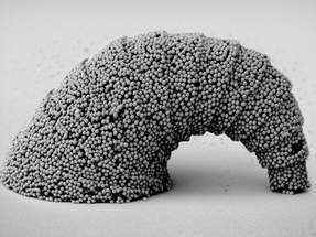 Die neue optofluidische 3D‑Fertigungsmethode ermöglicht Mikro‑ und Nanostrukturen aus unterschiedlichsten Materialien und schafft damit die Grundlage für multifunktionale Mikroroboter und innovative mikrotechnische Anwendungen.