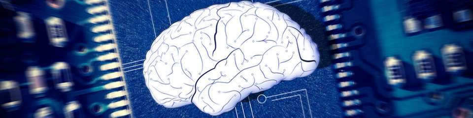 Das neuromorphe, RISC‑V‑basierte Design ermöglicht lokale, sichere Datenverarbeitung und gilt als wichtiger Schritt zu mehr technologischer Souveränität in Deutschland und Europa.