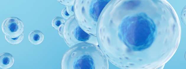 Mithilfe von elektrochemischen Sensoren und Kameras erfasst das Sensorsystem 3D-Zellsphäroide im Bioreaktor und bewertet Größe, Anzahl und Qualität in Echtzeit.