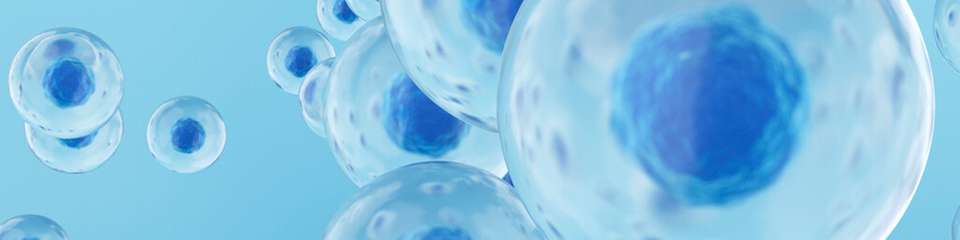 Mithilfe von elektrochemischen Sensoren und Kameras erfasst das Sensorsystem 3D-Zellsphäroide im Bioreaktor und bewertet Größe, Anzahl und Qualität in Echtzeit.