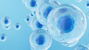 Mithilfe von elektrochemischen Sensoren und Kameras erfasst das Sensorsystem 3D-Zellsphäroide im Bioreaktor und bewertet Größe, Anzahl und Qualität in Echtzeit.