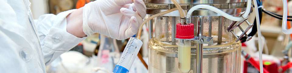 Besonders in Bioreaktoren und anderen Laborgeräten ist eine berührungslose Schaumerkennung essentiell.