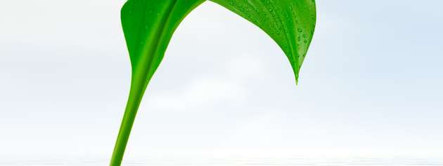 Machen PPAs die Energieversorgung der Industrie mit Erneuerbaren Energien planbar?