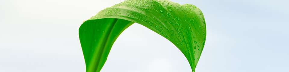 Machen PPAs die Energieversorgung der Industrie mit Erneuerbaren Energien planbar?