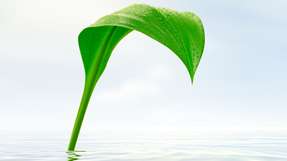 Machen PPAs die Energieversorgung der Industrie mit Erneuerbaren Energien planbar?