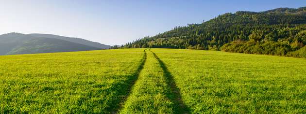 Pay-as-Produced-PPA nimmt Norafin Windstrom ab, MVV erkennt die Überschüsse, verkauft sie am Spotmarkt und schreibt die Erlöse gut.