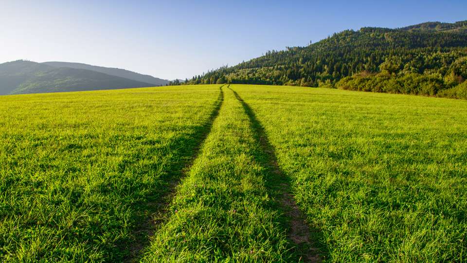 Pay-as-Produced-PPA nimmt Norafin Windstrom ab, MVV erkennt die Überschüsse, verkauft sie am Spotmarkt und schreibt die Erlöse gut.