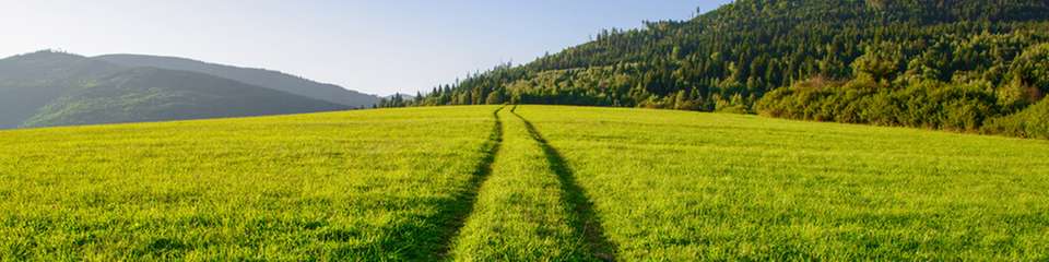 Pay-as-Produced-PPA nimmt Norafin Windstrom ab, MVV erkennt die Überschüsse, verkauft sie am Spotmarkt und schreibt die Erlöse gut.