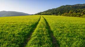 Pay-as-Produced-PPA nimmt Norafin Windstrom ab, MVV erkennt die Überschüsse, verkauft sie am Spotmarkt und schreibt die Erlöse gut.