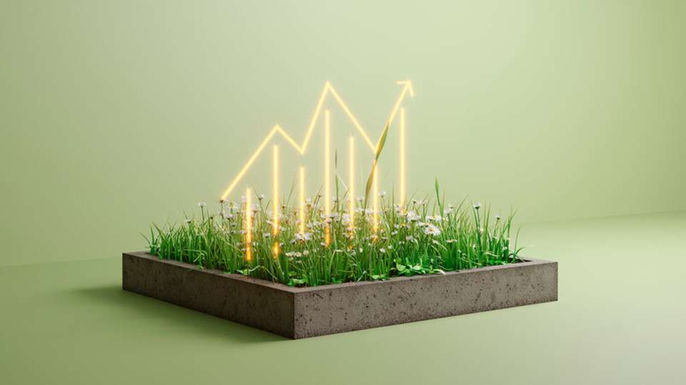 Im Energy Monitor lassen sich CSV-Formate definieren: Import und Export können manuell oder automatisiert erfolgen, etwa per SFTP oder alternativ über die REST-API ohne Datei-Uploads.