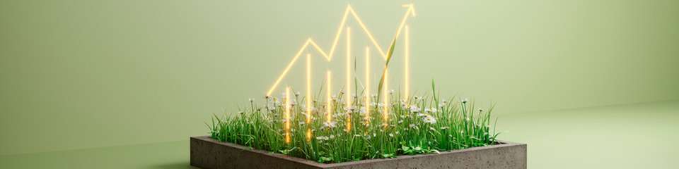 Im Energy Monitor lassen sich CSV-Formate definieren: Import und Export können manuell oder automatisiert erfolgen, etwa per SFTP oder alternativ über die REST-API ohne Datei-Uploads.