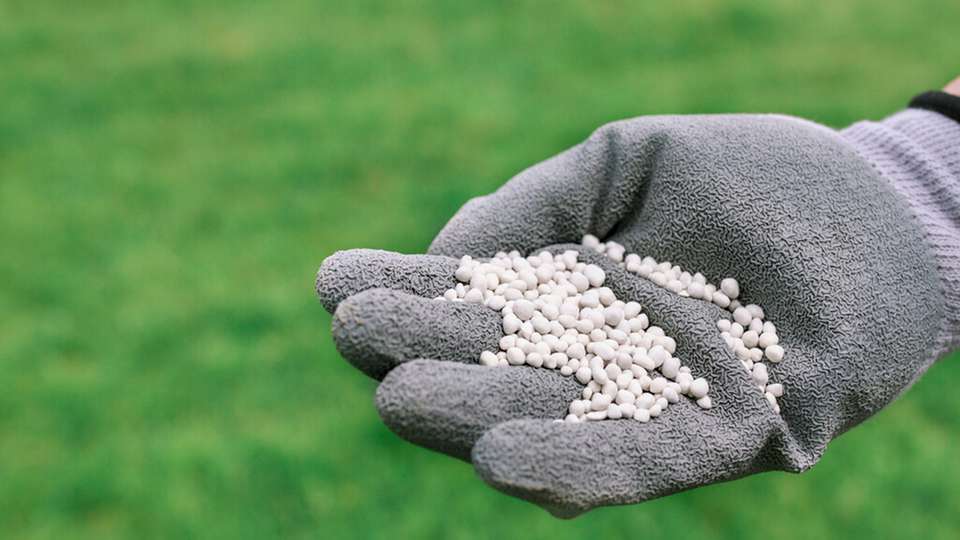 Im EU-Projekt FlashPhos ist die FEED-Studie abgeschlossen. Diese überführt die Demonstrationsanlage in ein industrielles Konzept zur Rückgewinnung von Phosphor aus Klärschlamm.