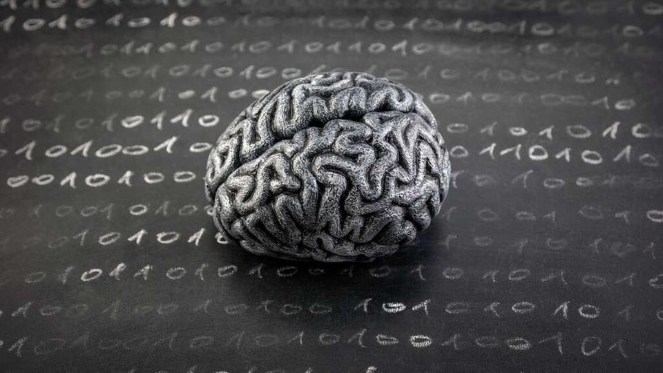 Der Einsatz von KI in Unternehmen kann menschliches Fachwissen verdrängen und somit die Qualität veraltender KI-Modelle schleichend beeinträchtigen.