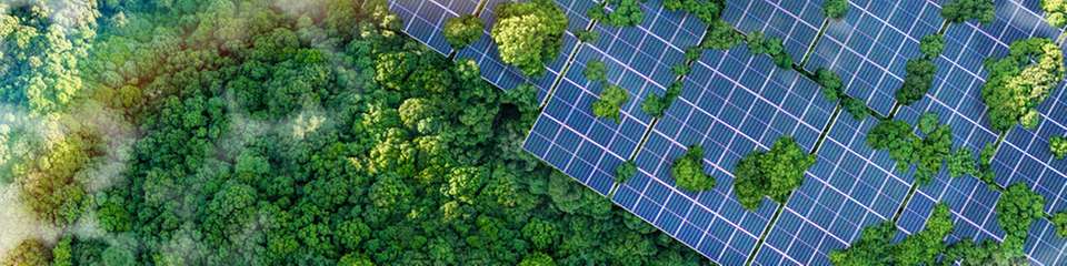 Perowskit-Solarzellen unter wechselnden Umwelteinflüssen zuverlässig zu betreiben, ist immer noch eine Herausforderung.