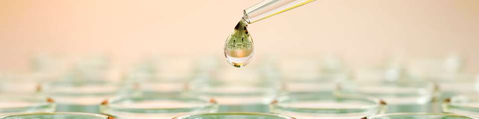 Im HyDi-Projekt Hallein soll eine 20-MW-Elektrolyse rund 2.600 t Wasserstoff pro Jahr liefern – und das ausschließlich für die Produktion von grünem E-Methanol.