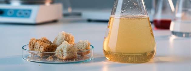 Mikroben erzeugen aus Zucker aus Abfallbrot Wasserstoff, der Hydrierungen unter milden Bedingungen antreiben kann – ohne extern zugeführten fossilen Wasserstoff.