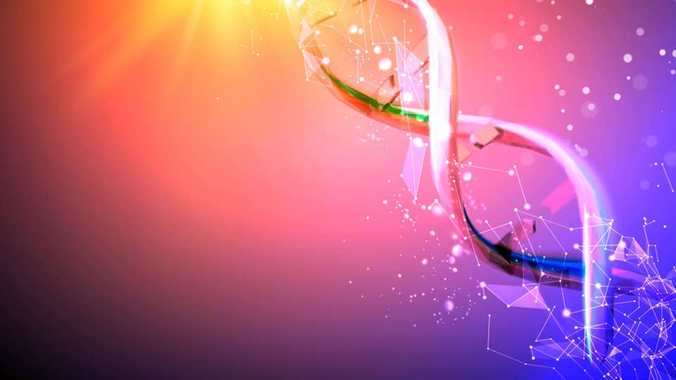 DNA ist das dichteste und beständigste Informationsspeichermedium der Natur: Nur ein Gramm kann potenziell bis zu Hunderte Petabyte an digitalen Daten kodieren.