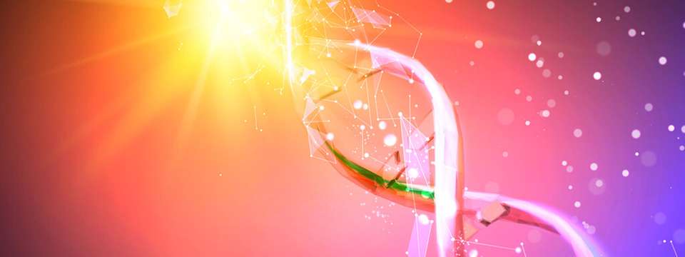 DNA ist das dichteste und beständigste Informationsspeichermedium der Natur: Nur ein Gramm kann potenziell bis zu Hunderte Petabyte an digitalen Daten kodieren.