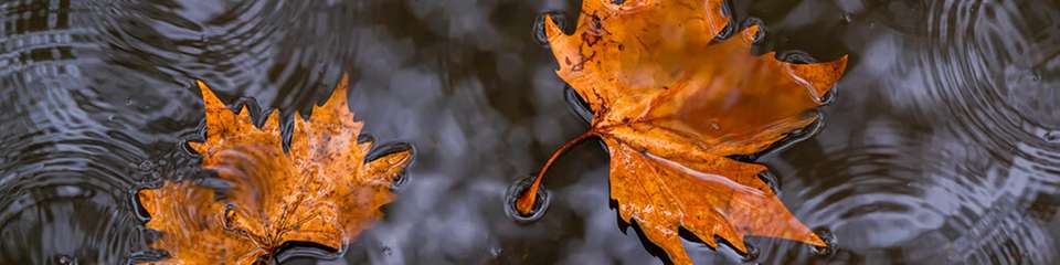 IoT-Pegelüberwachung: Messstationen liefern Wasserstände in Echtzeit an eine zentrale Plattform, die Grenzwerte prüft und bei Niedrig- oder Hochwasser automatisch alarmiert.