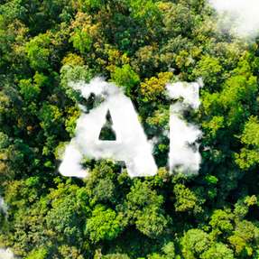 KI soll umweltfreundlicher werden: Dafür kommt mit FGPAs eine Art maßgeschneiderte Hardware zum Einsatz. Je nach Anwendung verbrauchen die Chips weniger Energie und rechnen dabei schneller als Grafikprozessoren.