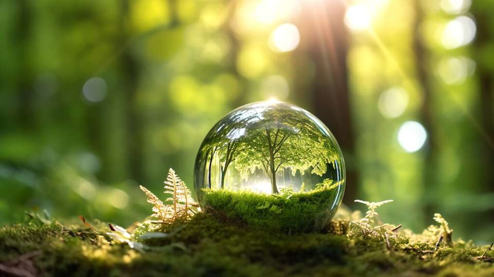 Mit dem System sollen Umweltveränderungen frühzeitig erkannt und bewertet werden.