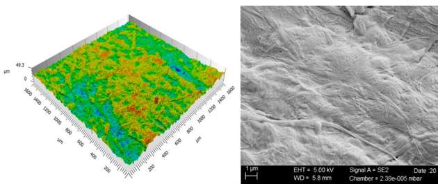 Konfokalmikroskopische (links, Vergrößerung 10x) und rasterelektronenmikroskopische (rechts) Aufnahme des Spezialpapiers