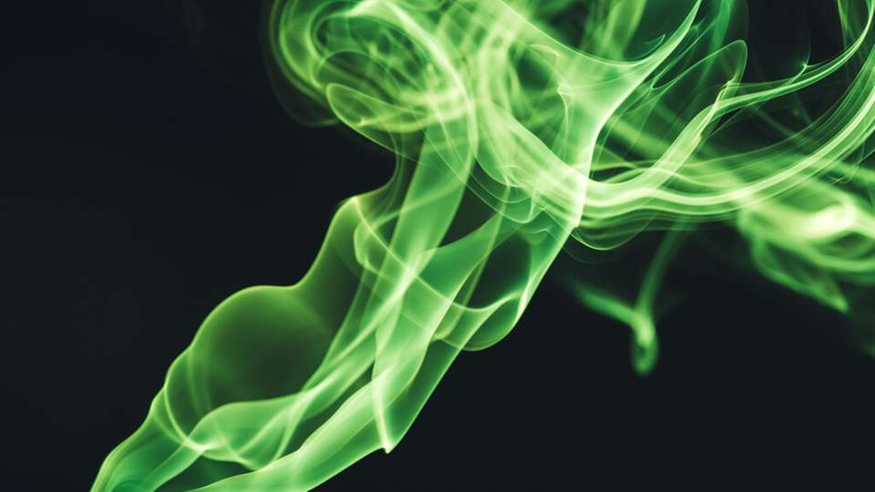 Die Direktnutzung von Gas aus Biomasse und Reststoffen ermöglicht der Industrie, fossiles Erdgas in Hochtemperaturprozessen zuverlässig und wirtschaftlich zu ersetzen. 