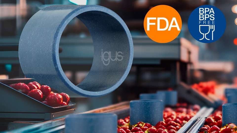 Schmiermittelfreie igus Gleitlager im Einsatz. Die markante blaue Farbe sorgt für optische Detektierbarkeit, während die FDA-Zertifizierung maximale Produktsicherheit bei der Verarbeitung von Obst und Gemüse gewährleistet.