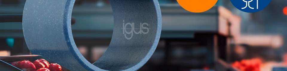 Schmiermittelfreie igus Gleitlager im Einsatz. Die markante blaue Farbe sorgt für optische Detektierbarkeit, während die FDA-Zertifizierung maximale Produktsicherheit bei der Verarbeitung von Obst und Gemüse gewährleistet.