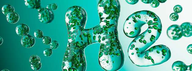 Das HyLink Alkaline 23 ist ein outdoor-fähiges 50-MW-Druck-Alkali-Elektrolysemodul mit 30-bar(g)-Stack, das für Projekte im dreistelligen Megawattbereich ausgelegt ist.