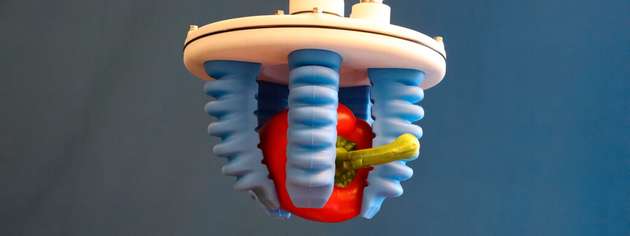 Innovative Soft-Greifer ermöglichen das Handling empfindlicher Lebensmittel ohne Druckstellen. Die flexiblen Greiffinger passen sich der Form des Produkts – wie hier einer Paprika – individuell an.