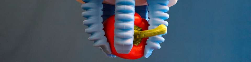 Soft-Greifer ermöglichen das Handling empfindlicher Lebensmittel ohne Druckstellen. Die flexiblen Greiffinger passen sich der Form des Produkts – wie hier einer Paprika – individuell an.