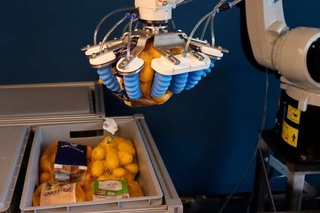 Soft-Gripping-Systeme eignen sich nicht nur für loses Stückgut, sondern handhaben auch flexible Verpackungen wie Netzsäcke mit Kartoffeln oder Zwiebeln prozesssicher und schonend.
