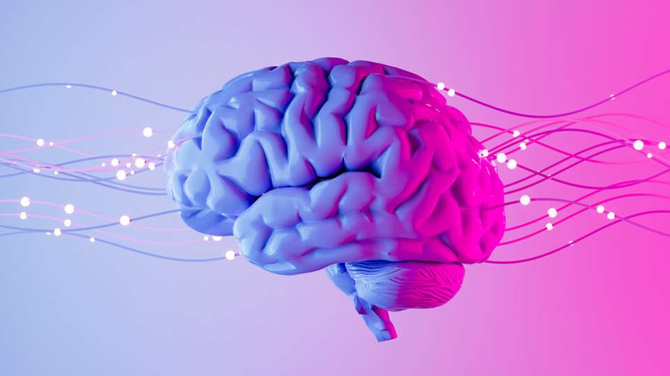 Wenn Fachleute fehlen, zeigt sich die Lücke zuerst im Alltag: Es gibt offene Fragen, Abläufe dauern länger und es treten wiederkehrende Fehler auf – dort setzt das KI-basierte Wissensmanagementsystem an.