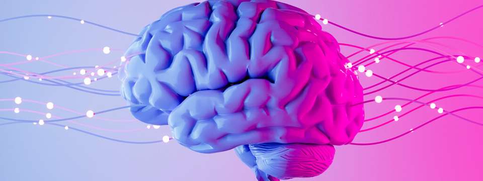 Wenn Fachleute fehlen, zeigt sich die Lücke zuerst im Alltag: Es gibt offene Fragen, Abläufe dauern länger und es treten wiederkehrende Fehler auf – dort setzt das KI-basierte Wissensmanagementsystem an.