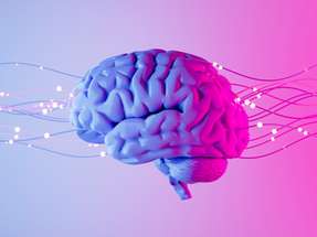 Wenn Fachleute fehlen, zeigt sich die Lücke zuerst im Alltag: Es gibt offene Fragen, Abläufe dauern länger und es treten wiederkehrende Fehler auf – dort setzt das KI-basierte Wissensmanagementsystem an.