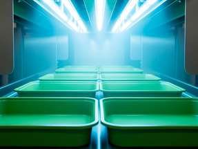 Die Behälter werden im Inneren der Schleuse durch energiesparende UV-C-LEDs bestrahlt, die 99,9 Prozent aller Keime abtöten.