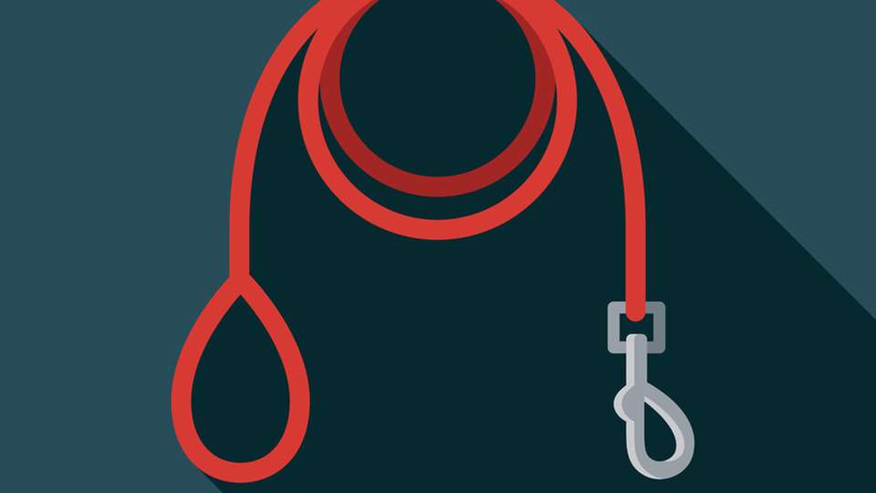 Müssen KI-Agenten an die Leine? Nicht unbedingt – wenn Unternehmen sich den neuen Gegebenheiten anpassen.