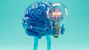 Unternehmen stehen vor der Frage: generative KI nur anwenden oder eigene Lösungen entwickeln? Das Whitepaper diskutiert beide Wege und ordnet Risiken und Anforderungen ein.
