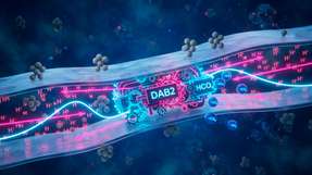 Der Membrankomplex DAB2 ermöglicht lithoautotrophen Mikroorganismen, CO2 intrazellulär zu HCO3- umzuwandeln und anzureichern – gekoppelt an ein Konzentrationsgefälle (Protonengradient) über der Zellmembran und damit ATP-unabhängig.