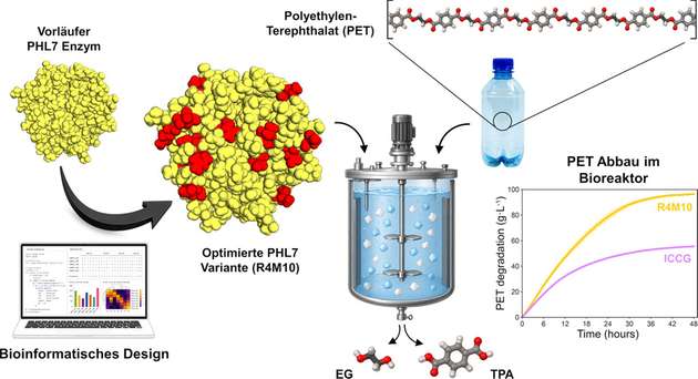 Das Enzym PHL7 wurde so verändert, dass es PET-Plastik schneller und unter industriellen Bedingungen abbauen kann.