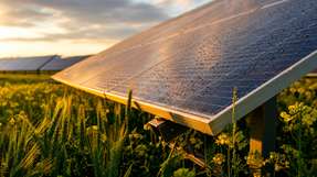 Die Agri-Solaranlage am Hartmannsbrook in Amelsbüren nutzt 2P-Tracking-Module auf einer Fläche von 13,2 ha, um Sonnenstrom zu erzeugen und gleichzeitig Ackerbau zu ermöglichen.