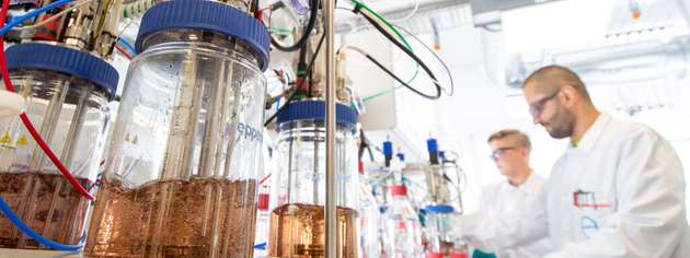 Covestro hat Bio4PURConti gestartet, mit dem Ziel, den ersten kontinuierlichen Produktionsprozess für bio-basiertes Anilin zu entwickeln.