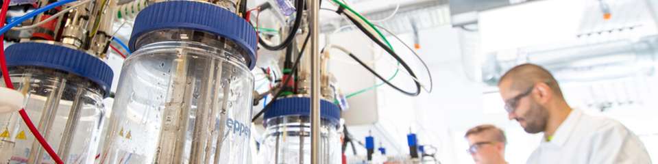 Covestro hat Bio4PURConti gestartet, mit dem Ziel, den ersten kontinuierlichen Produktionsprozess für bio-basiertes Anilin zu entwickeln.