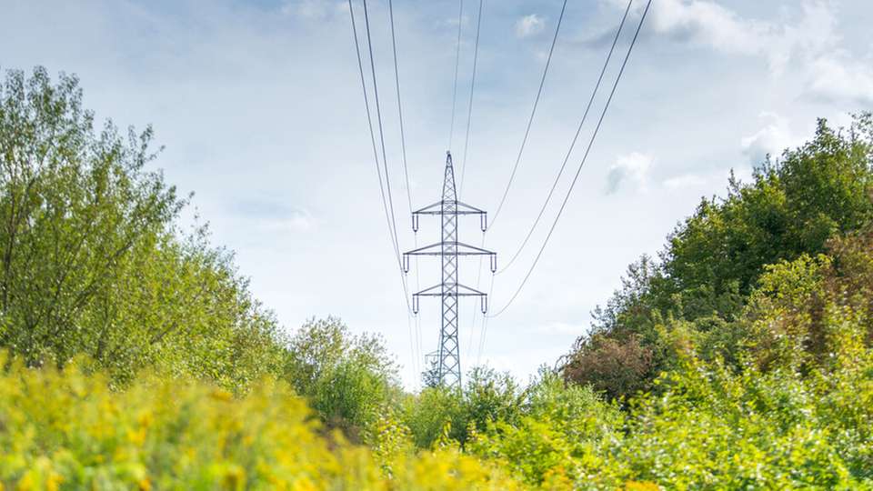 Strom aus Biogas ist eine sinnvolle Ergänzung zu Erdgaskraftwerken.